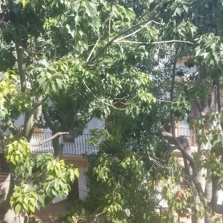 Increible En Urb El Patio Dénia